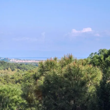 Paradiso 빌라 *